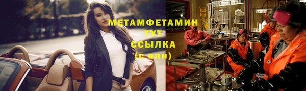 индика Козельск