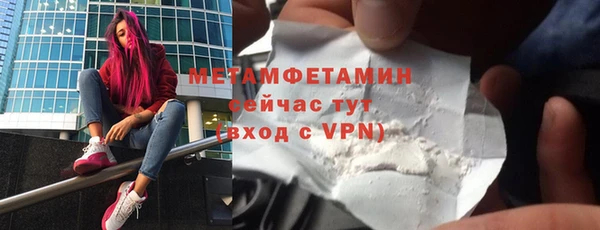 индика Козельск