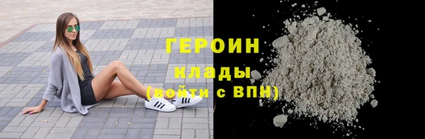 индика Козельск