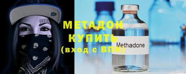 индика Козельск