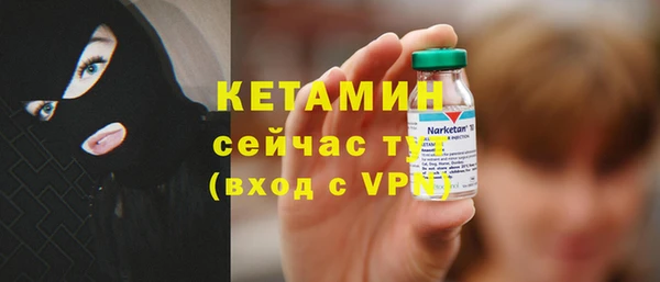 индика Козельск