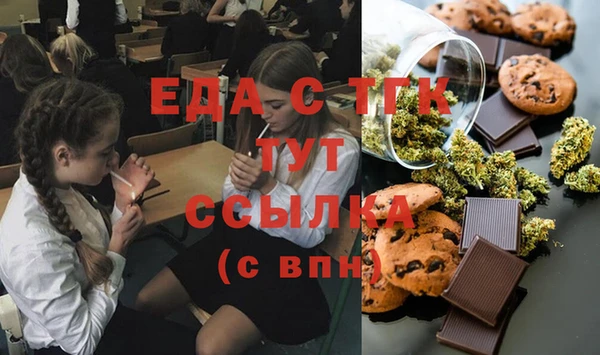индика Козельск