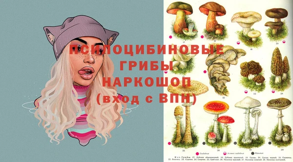 скорость Кодинск