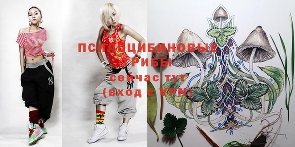 индика Козельск