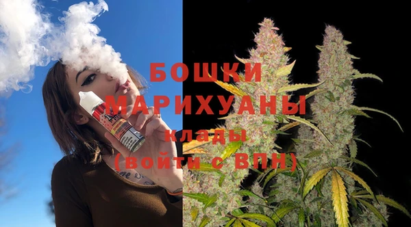 индика Козельск