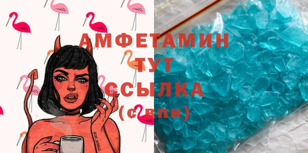 индика Козельск