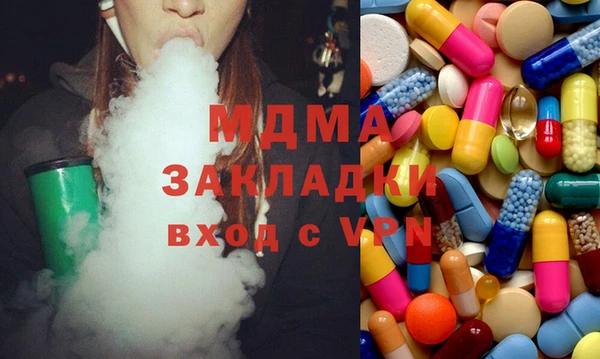 индика Козельск