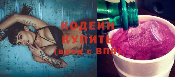 индика Козельск