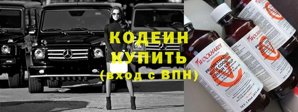 индика Козельск