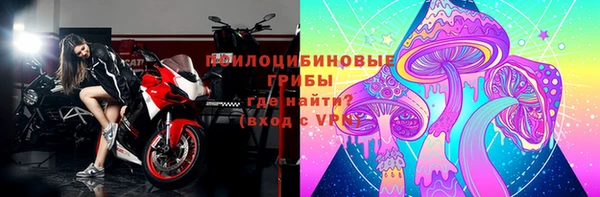 индика Козельск