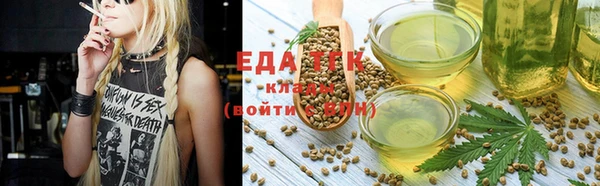 индика Козельск