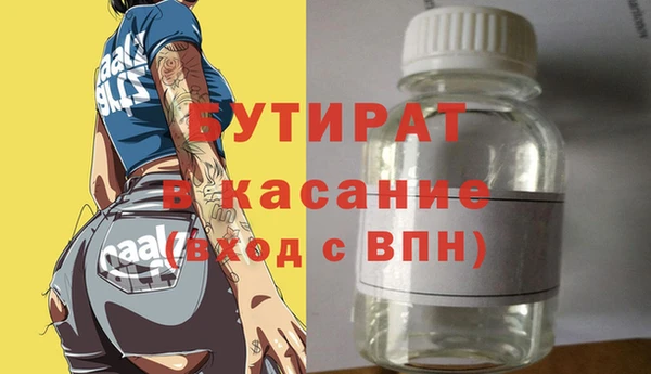 индика Козельск