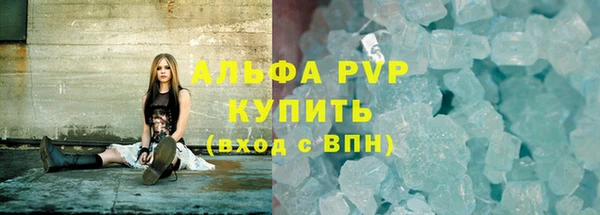 индика Козельск
