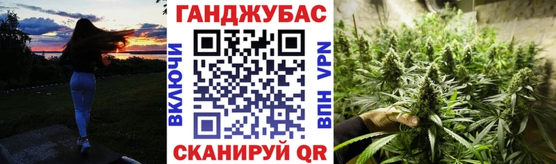 Купить где  Тында  МАРИХУАНА план 